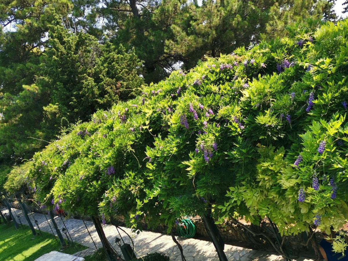קריובה Bloom Box Apartments מראה חיצוני תמונה