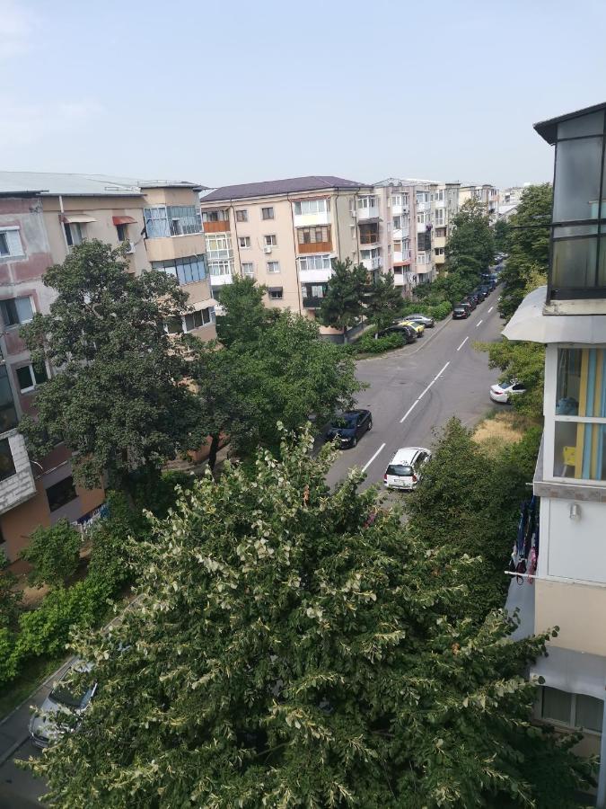 קריובה Bloom Box Apartments מראה חיצוני תמונה