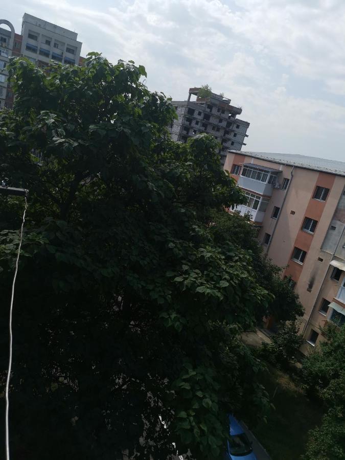 קריובה Bloom Box Apartments מראה חיצוני תמונה