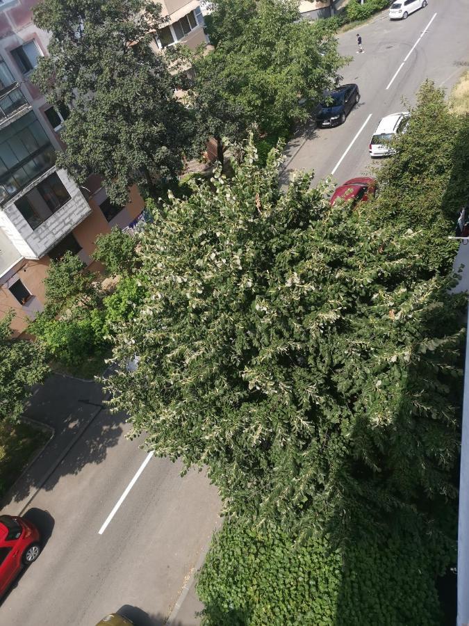 קריובה Bloom Box Apartments מראה חיצוני תמונה