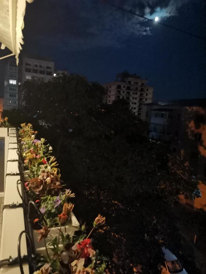 קריובה Bloom Box Apartments מראה חיצוני תמונה