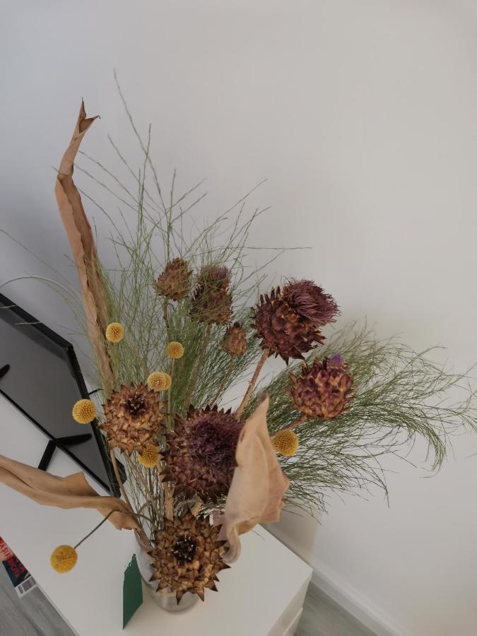 קריובה Bloom Box Apartments מראה חיצוני תמונה
